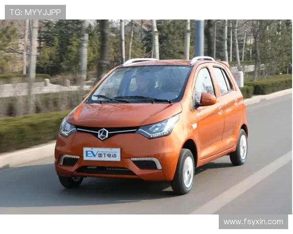 雷丁俱乐部宣布最新动态球队发展方向与未来规划引发广泛关注