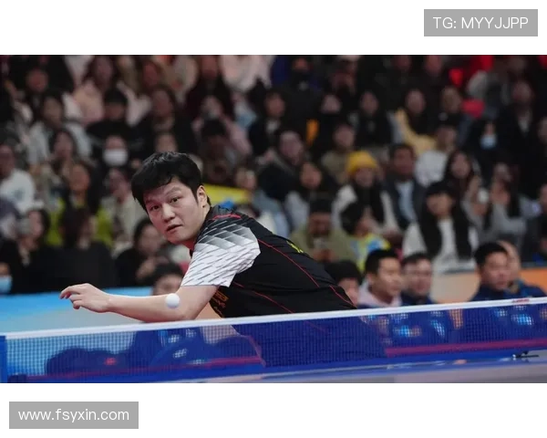 德甲联赛乒乓球比赛观看途径全攻略及赛事直播平台推荐